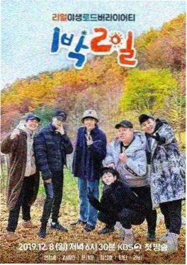 花儿与少年